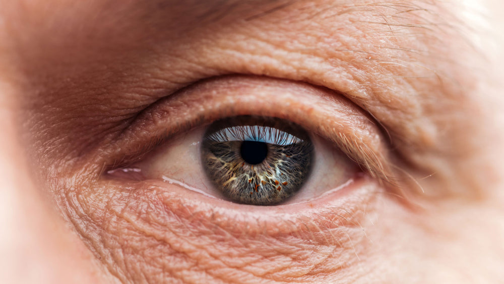 4 Suplementos para manter a saúde dos olhos em dia. - Quatrofolhas